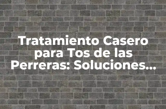 Tratamiento Casero para Tos de las Perreras: Soluciones Efectivas y Naturales