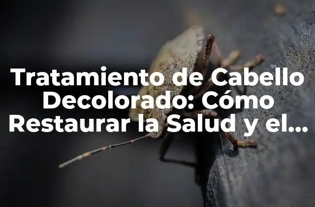 Causas del Daño en el Cabello Decolorado