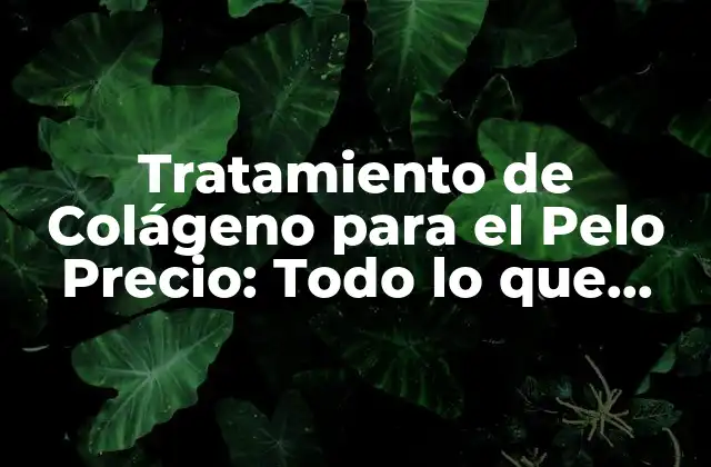 Tratamiento de Colágeno para el Pelo Precio: Todo Lo que Necesitas Saber