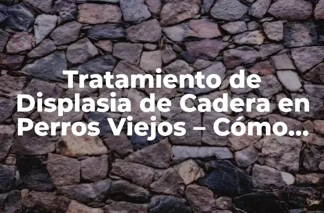 Tratamiento de Displasia de Cadera en Perros Viejos – Cómo Aliviar el Dolor