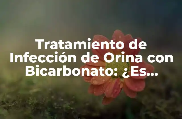 Tratamiento de Infección de Orina con Bicarbonato: ¿es Efectivo?