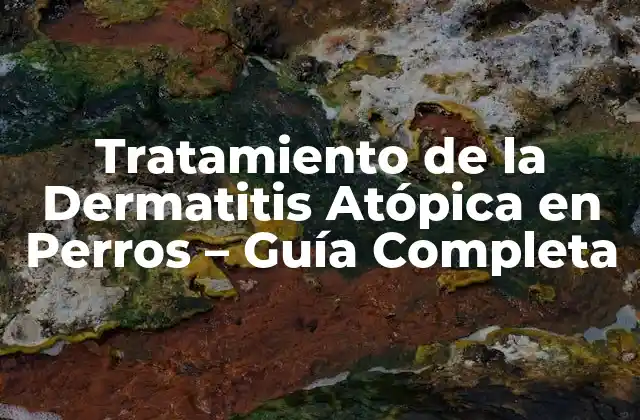 Tratamiento de la Dermatitis Atópica en Perros – Guía Completa