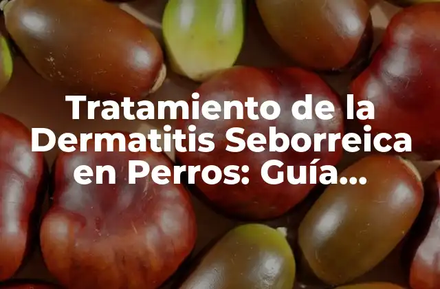 ¿Qué es la Dermatitis Seborreica en Perros?