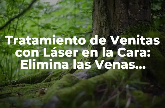Tratamiento de Venitas con Láser en la Cara: Elimina las Venas Rostizas