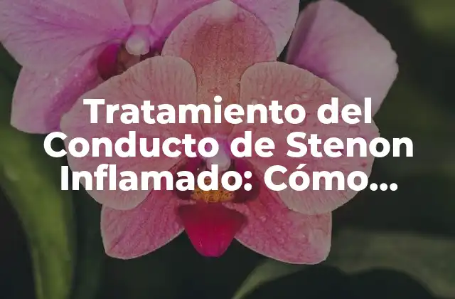 Tratamiento Del Conducto de Stenon Inflamado: Cómo Aliviar el Dolor y la Inflamación