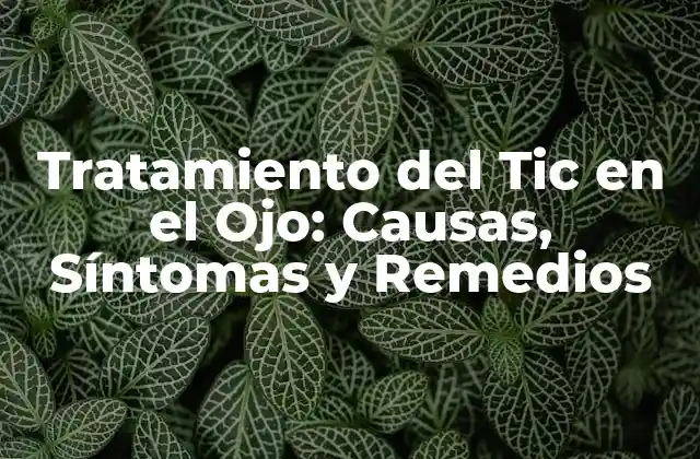 Tratamiento Del Tic en el Ojo: Causas, Síntomas y Remedios