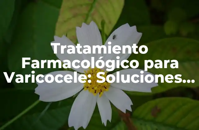 Tratamiento Farmacológico para Varicocele: Soluciones Efectivas 2 Causas y Síntomas del Varicocele