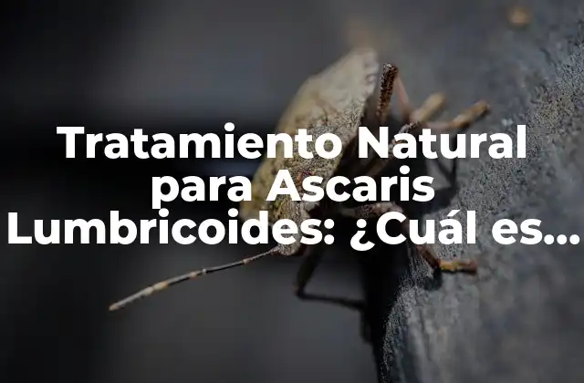 Tratamiento Natural para Ascaris Lumbricoides: ¿cuál es la Mejor Opción?