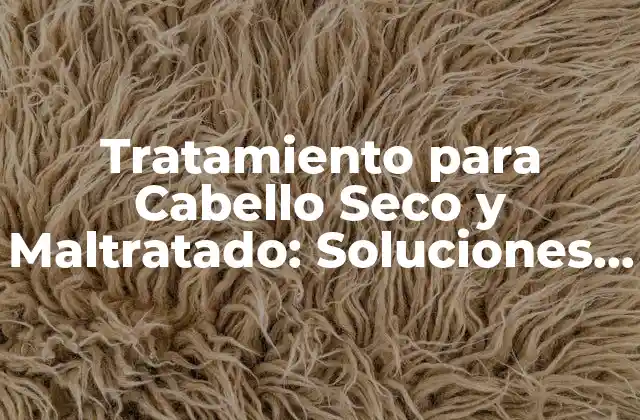Tratamiento para Cabello Seco y Maltratado: Soluciones y Remedios Naturales