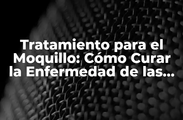 Tratamiento para el Moquillo: Cómo Curar la Enfermedad de las Plantas