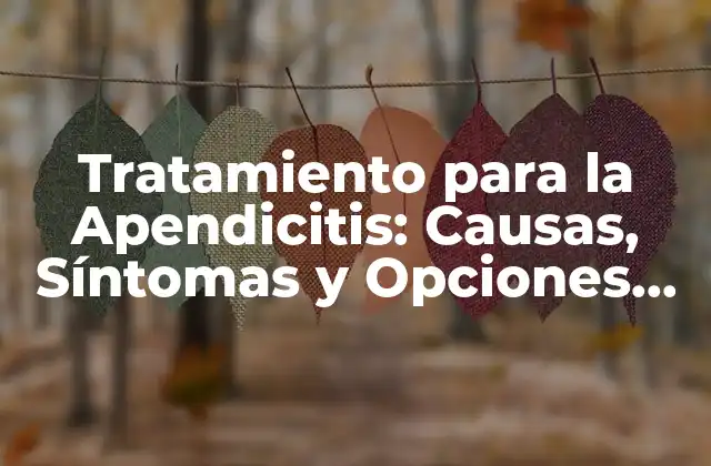 Tratamiento para la Apendicitis: Causas, Síntomas y Opciones de Tratamiento