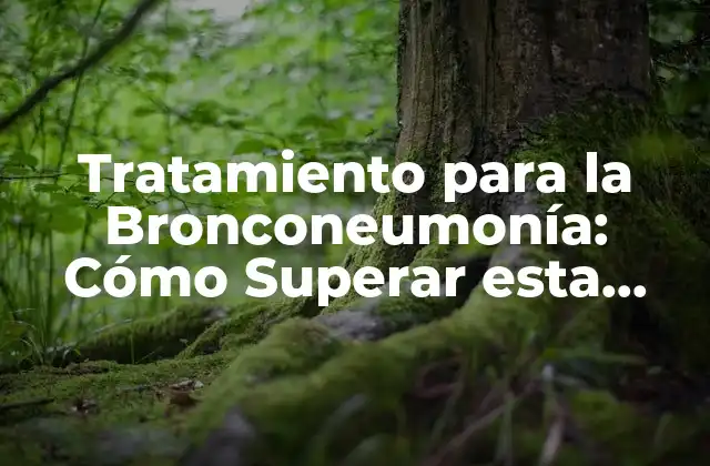 Tratamiento para la Bronconeumonía: Cómo Superar Esta Enfermedad Respiratoria
