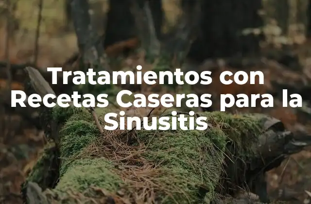 Tratamientos con Recetas Caseras para la Sinusitis