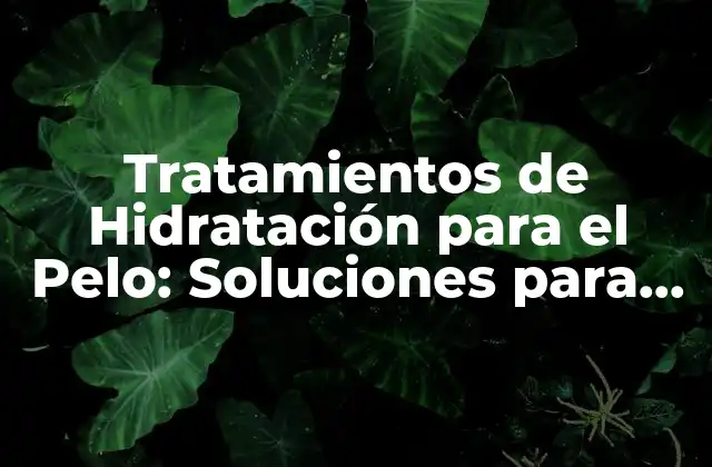 Tratamientos de Hidratación para el Pelo: Soluciones para un Pelo Sedoso y Brillante