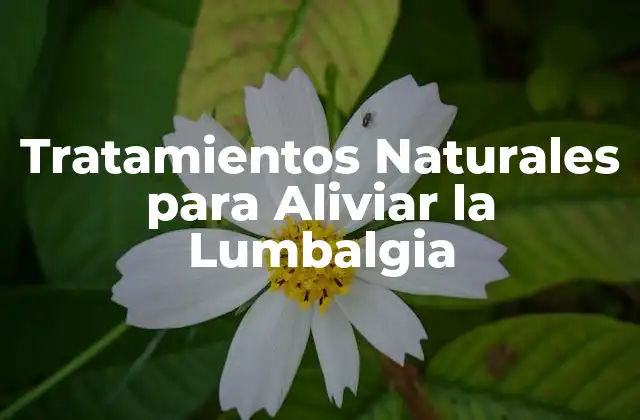 Tratamientos Naturales para Aliviar la Lumbalgia