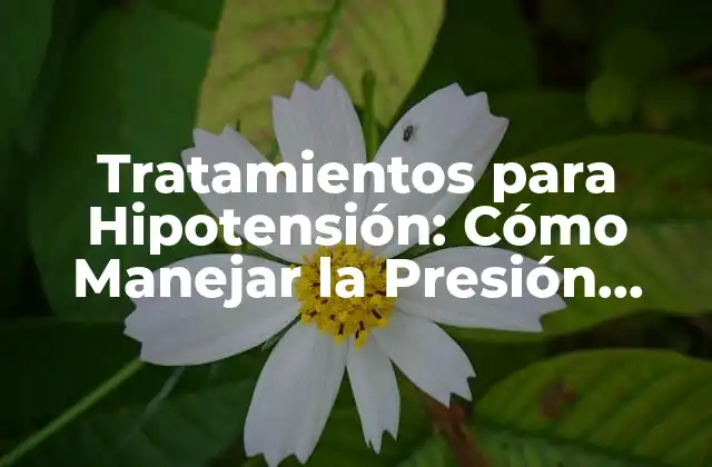 Tratamientos para Hipotensión: Cómo Manejar la Presión Arterial Baja
