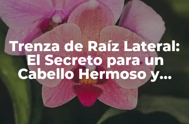 Trenza de Raíz Lateral: el Secreto para un Cabello Hermoso y Saludable