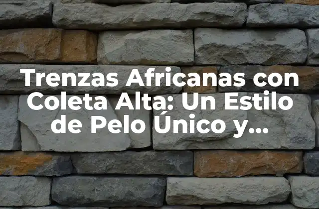 Trenzas Africanas con Coleta Alta: un Estilo de Pelo Único y Emocionante