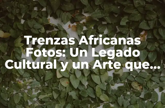 Trenzas Africanas Fotos: un Legado Cultural y un Arte que Perdura