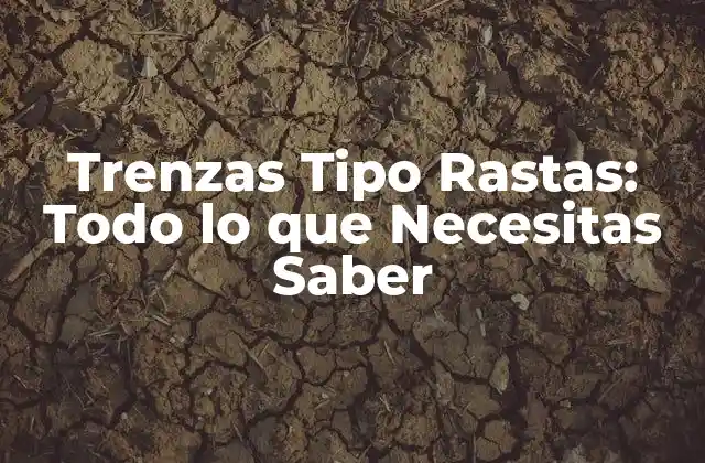 Trenzas Tipo Rastas: Todo Lo que Necesitas Saber