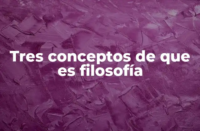Tres Conceptos de que es Filosofía 2 La filosofía como herramienta para comprender el mundo
