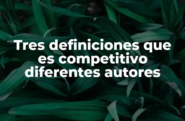 Tres Definiciones que es Competitivo Diferentes Autores
