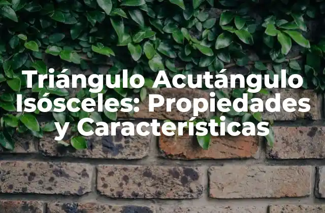 Triángulo Acutángulo Isósceles: Propiedades y Características