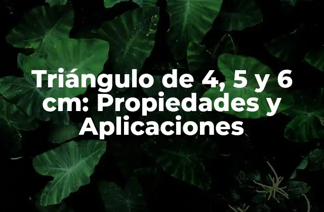 Triángulo de 4, 5 y 6 Cm: Propiedades y Aplicaciones