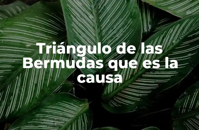 Triángulo de las Bermudas que es la Causa