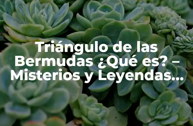 Triángulo de las Bermudas ¿qué Es? – Misterios y Leyendas Del Mar