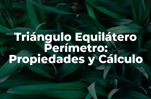 Propiedades del Triángulo Equilátero