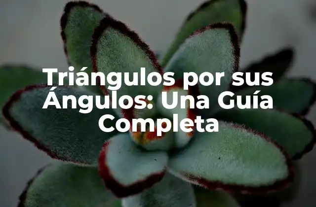 Triángulos por Sus Ángulos: una Guía Completa