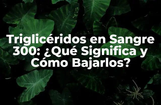 Triglicéridos en Sangre 300: ¿qué Significa y Cómo Bajarlos?