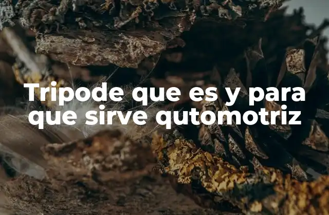 Tripode que es y para que Sirve Qutomotriz 2 El rol del soporte en la eficiencia de los talleres mecánicos