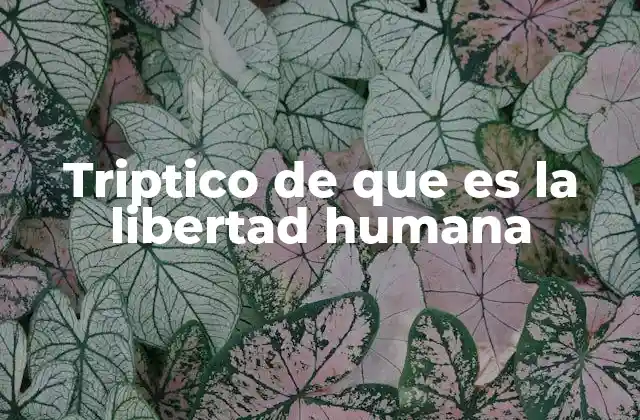 Triptico de que es la Libertad Humana