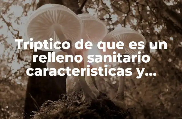Triptico de que es un Relleno Sanitario Caracteristicas y Funciones