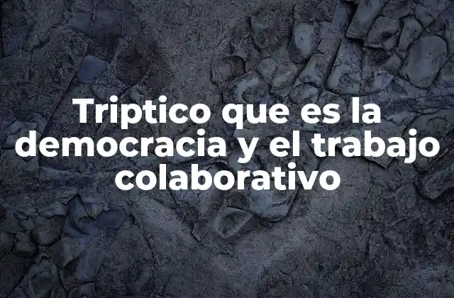 Triptico que es la Democracia y el Trabajo Colaborativo