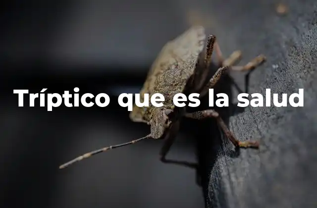 Tríptico que es la Salud