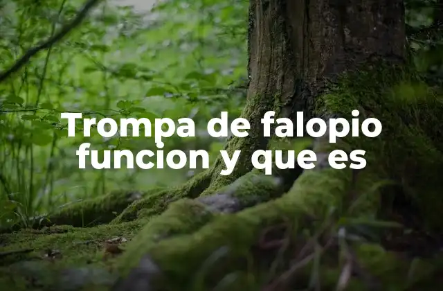 Trompa de Falopio Funcion y que es