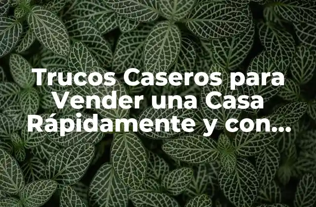 Trucos Caseros para Vender una Casa Rápidamente y con Éxito