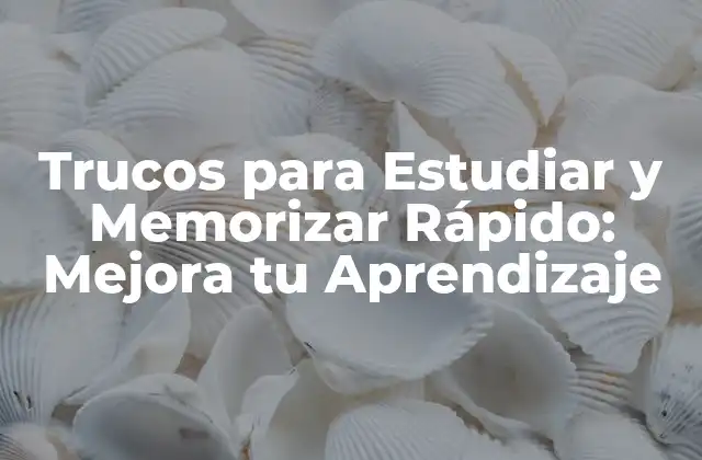 Trucos para Estudiar y Memorizar Rápido: Mejora Tu Aprendizaje