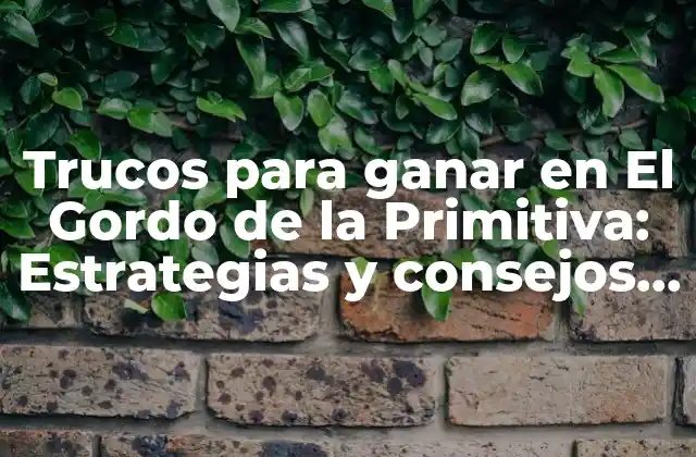 Trucos para Ganar en el Gordo de la Primitiva: Estrategias y Consejos para Aprovechar Al Máximo