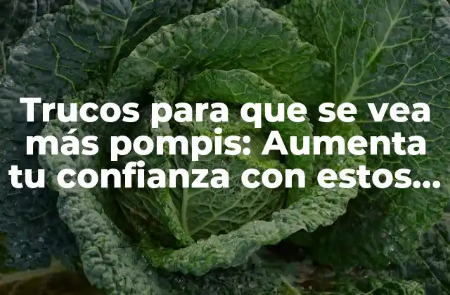 Trucos para que Se Vea Más Pompis: Aumenta Tu Confianza con Estos Consejos