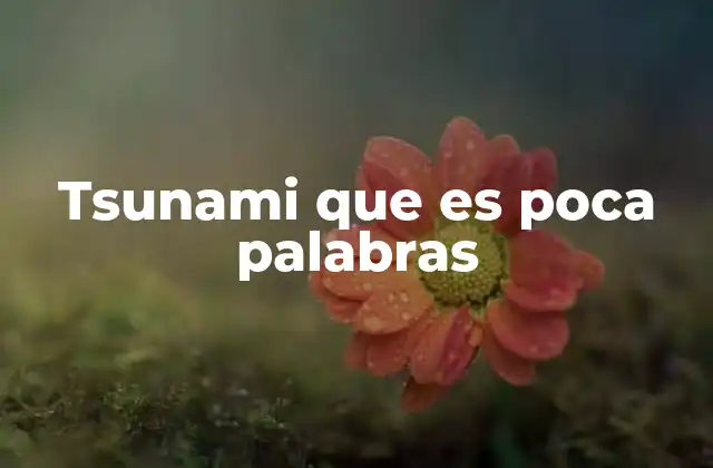 Tsunami que es Poca Palabras