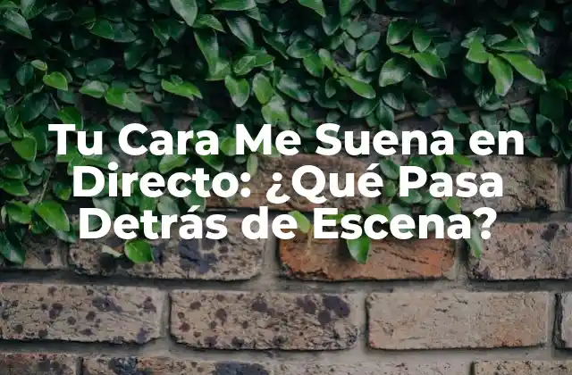 Tu Cara Me Suena en Directo: ¿qué Pasa Detrás de Escena?