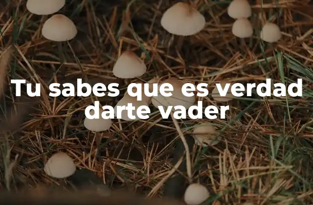 Tu Sabes que es Verdad Darte Vader