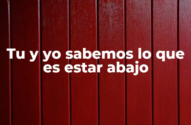 Tu y Yo Sabemos Lo que es Estar Abajo