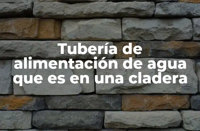La importancia de la tubería de agua en la distribución de recursos en el hogar
