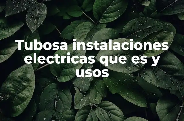 Tubosa Instalaciones Electricas que es y Usos