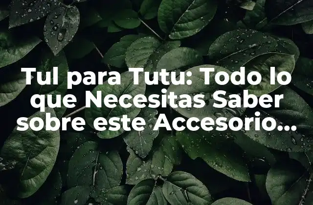 Tul para Tutu: Todo Lo que Necesitas Saber sobre Este Accesorio de Danza
